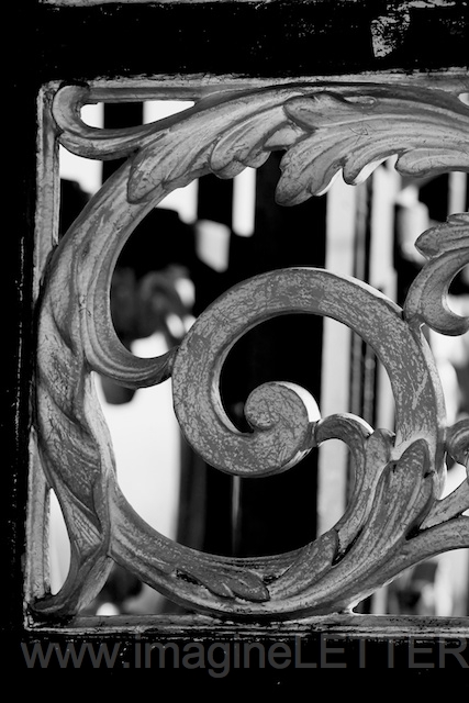 Wall_Art_Alphabet_Photography_Art_ 729.jpg